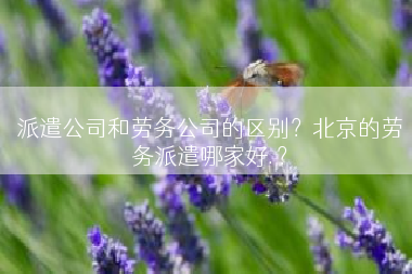 派遣公司和劳务公司的区别？北京的劳务派遣哪家好.？