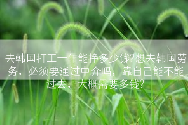 去韩国打工一年能挣多少钱?想去韩国劳务，必须要通过中介吗，靠自己能不能过去，大概需要多钱?