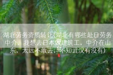 湖北劳务资质转让(湖北有哪些赴日劳务中介，我想去日本做建筑工，中介在山东，太远不敢去，不知武汉有没有)