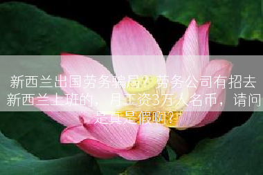 新西兰出国劳务骗局？劳务公司有招去新西兰上班的，月工资3万人名币，请问是真是假啊？