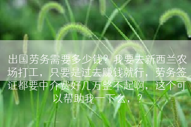 出国劳务需要多少钱？我要去新西兰农场打工，只要是过去赚钱就行，劳务签证都要中介费好几万整不起啊，这个可以帮助我一下么，？