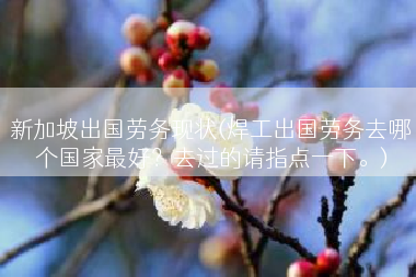 新加坡出国劳务现状(焊工出国劳务去哪个国家最好？去过的请指点一下。)