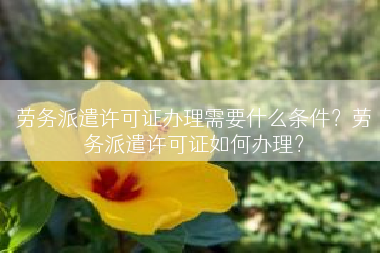 劳务派遣许可证办理需要什么条件？劳务派遣许可证如何办理？