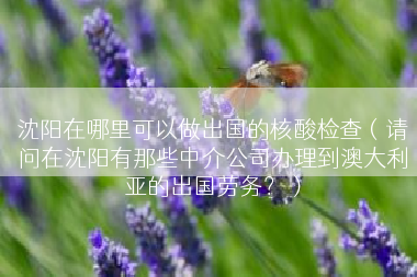 沈阳在哪里可以做出国的核酸检查（请问在沈阳有那些中介公司办理到澳大利亚的出国劳务？）