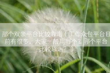 那个双亲平台比较靠谱（工作众包平台目前有很多，大家一般用哪个？哪个平台比较靠谱？）