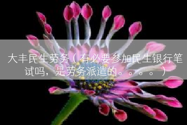 大丰民生劳务（有必要参加民生银行笔试吗，是劳务派遣的。。。。）