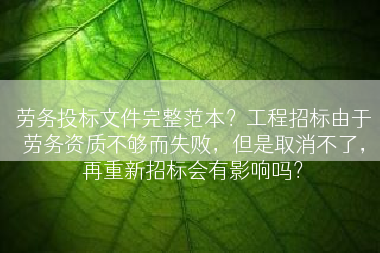 劳务投标文件完整范本？工程招标由于劳务资质不够而失败，但是取消不了，再重新招标会有影响吗？