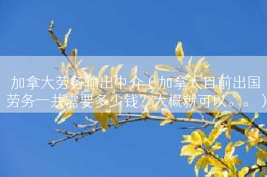 加拿大劳务输出中介（加拿大目前出国劳务一共需要多少钱？大概就可以。。）