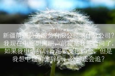 新疆前瑞劳务服务有限公司喀什分公司？我现在中途想离职，前提是我签合同了，如果我申请辞职肯定要交违约金，但是我想中途偷偷辞职，公司还会追？