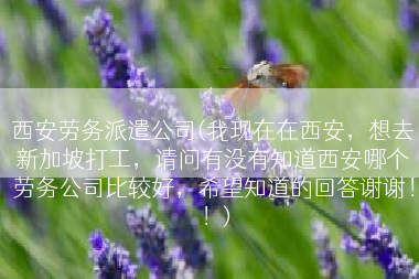 西安劳务派遣公司(我现在在西安，想去新加坡打工，请问有没有知道西安哪个劳务公司比较好，希望知道的回答谢谢！！)
