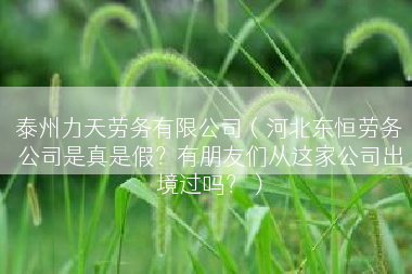 泰州力天劳务有限公司（河北东恒劳务公司是真是假？有朋友们从这家公司出境过吗？）
