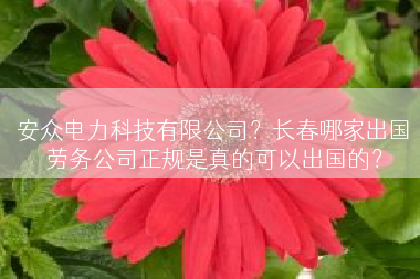 安众电力科技有限公司？长春哪家出国劳务公司正规是真的可以出国的？