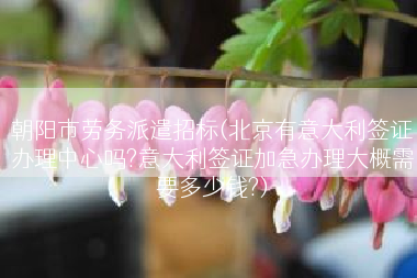 朝阳市劳务派遣招标(北京有意大利签证办理中心吗?意大利签证加急办理大概需要多少钱?)