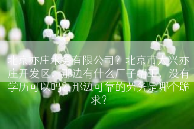 北京亦庄水务有限公司？北京市大兴亦庄开发区，那边有什么厂子招工，没有学历可以吗？那边可靠的劳务是哪个跪求？