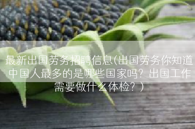 最新出国劳务招聘信息(出国劳务你知道中国人最多的是哪些国家吗？出国工作需要做什么体检？)