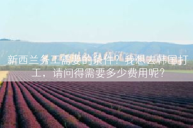 新西兰务工需要的条件？我想去韩国打工，请问得需要多少费用呢？