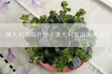 澳大利亚海外仓（澳大利亚出国劳务）