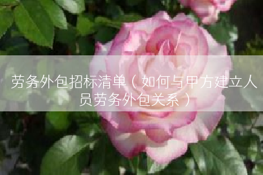 劳务外包招标清单（如何与甲方建立人员劳务外包关系）