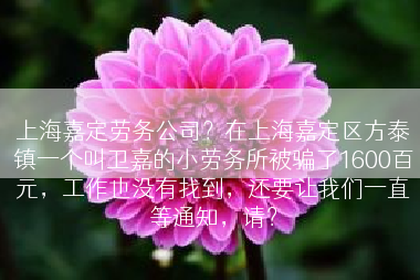 上海嘉定劳务公司？在上海嘉定区方泰镇一个叫卫嘉的小劳务所被骗了1600百元，工作也没有找到，还要让我们一直等通知，请？