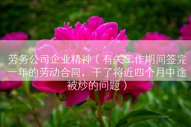 劳务公司企业精神（有关工作期间签完一年的劳动合同，干了将近四个月中途被炒的问题）