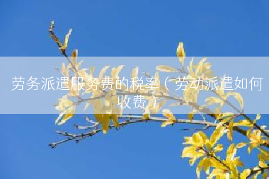 劳务派遣服务费的税率（劳动派遣如何收费）