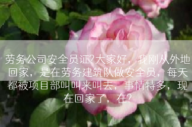劳务公司安全员证?大家好，我刚从外地回家，是在劳务建筑队做安全员，每天都被项目部叫叫来叫去，事情特多，现在回家了，在?