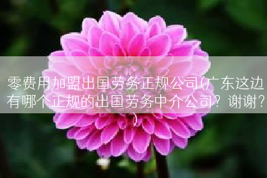 零费用加盟出国劳务正规公司(广东这边有哪个正规的出国劳务中介公司？谢谢？)