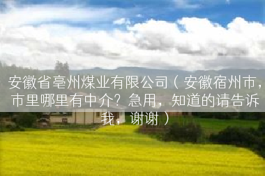 安徽省亳州煤业有限公司(安徽宿州市,市里哪里有中介?急用,知道的请告诉我,谢谢) 安徽省亳州煤业有限公司(安徽宿州市,市里哪里有中介?急用,知道的请告诉我,谢谢)