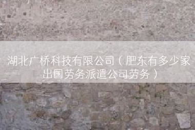 湖北广桥科技有限公司（肥东有多少家出国劳务派遣公司劳务）