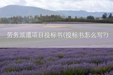 劳务派遣项目投标书(投标书怎么写?)