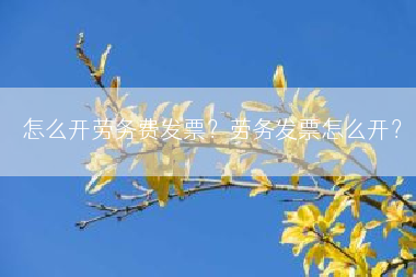 怎么开劳务费发票？劳务发票怎么开？