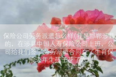 保险公司劳务派遣怎么样(我是邯郸涉县的，在涉县中国人寿保险公司上班，公司给我们签了劳务派遣合同交了生育保险去年生孩子花了六)