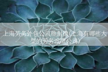 上海劳务外包公司施耐德(上海有哪些大型的劳务派遣公司)
