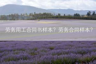 劳务用工合同书样本？劳务合同样本？