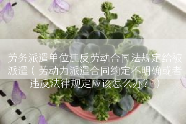 劳务派遣单位违反劳动合同法规定给被派遣（劳动力派遣合同约定不明确或者违反法律规定应该怎么办？）