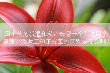 国企劳务派遣和私企选哪一个？进国企里面，派遣工和正式工的区别是什么啊？
