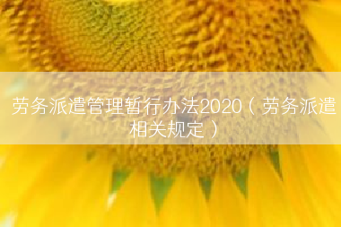 劳务派遣管理暂行办法2020（劳务派遣相关规定）