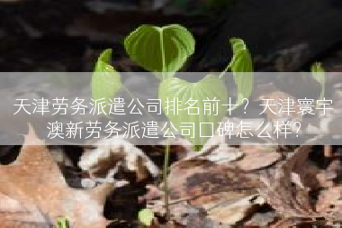 天津劳务派遣公司排名前十？天津寰宇澳新劳务派遣公司囗碑怎么样？