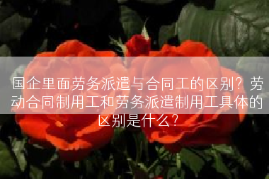 国企里面劳务派遣与合同工的区别？劳动合同制用工和劳务派遣制用工具体的区别是什么？