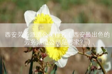 西安劳务派遣公司排名（西安最出色的劳务派遣公司是哪家？）
