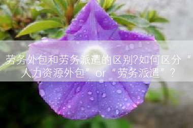 劳务外包和劳务派遣的区别?如何区分“人力资源外包”or“劳务派遣”?