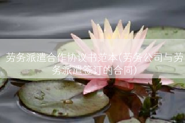 劳务派遣合作协议书范本(劳务公司与劳务派遣签订的合同)