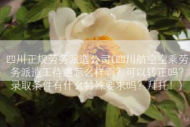 四川正规劳务派遣公司(四川航空空乘劳务派遣工待遇怎么样啊？可以转正吗？录取条件有什么特殊要求吗？拜托！)