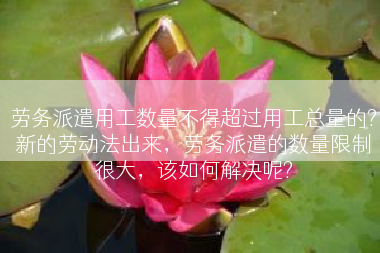 劳务派遣用工数量不得超过用工总量的?新的劳动法出来，劳务派遣的数量限制很大，该如何解决呢?