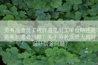 劳务派遣员工被辞退是用工单位赔还是劳务派遣公司赔？关于劳务派遣人员辞退补偿金问题？