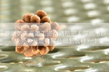 罗湖劳务派遣工资待遇贴吧（深圳市巨成劳务派遣有限公司怎么样？）