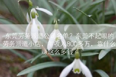东莞劳务派遣公司名单？东莞不起眼的劳务派遣小店，年收入800多万，靠什么赚这么多钱？