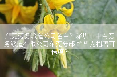 东莞劳务派遣公司名单？深圳市中南劳务派遣有限公司东莞分部 的华为招聘可信度？