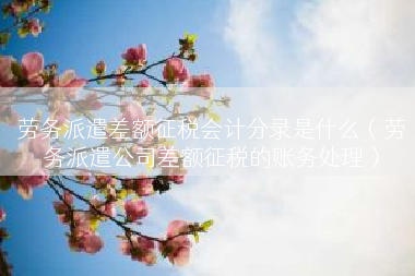 劳务派遣差额征税会计分录是什么（劳务派遣公司差额征税的账务处理）