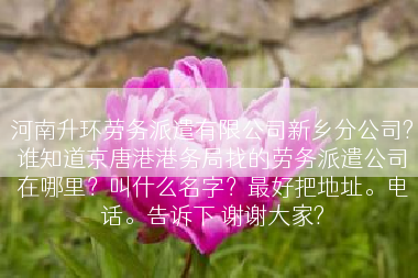 河南升环劳务派遣有限公司新乡分公司?谁知道京唐港港务局找的劳务派遣公司在哪里？叫什么名字？最好把地址。电话。告诉下 谢谢大家?